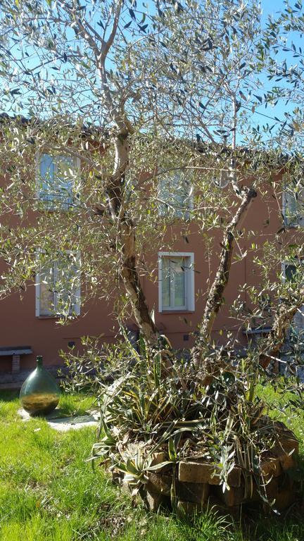 Willa Ulivo Della Querce Querce  Zewnętrze zdjęcie